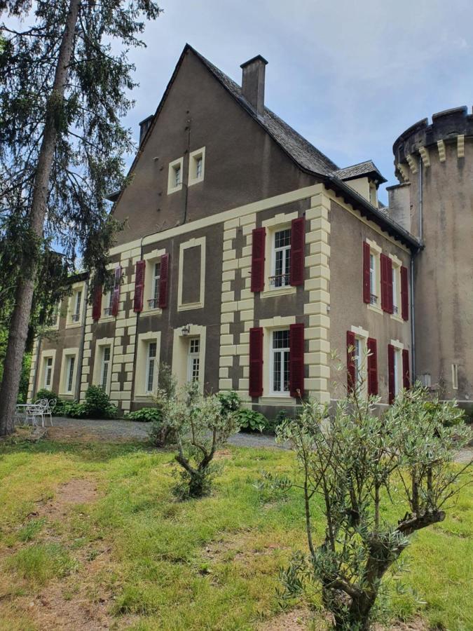 Chateau De Viviez Buitenkant foto